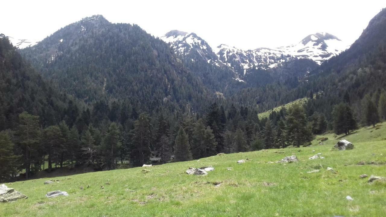 Studio St Lary Proche Du Centre, Au Calme Avec Vue Montagne サン・ラリー・スラン エクステリア 写真
